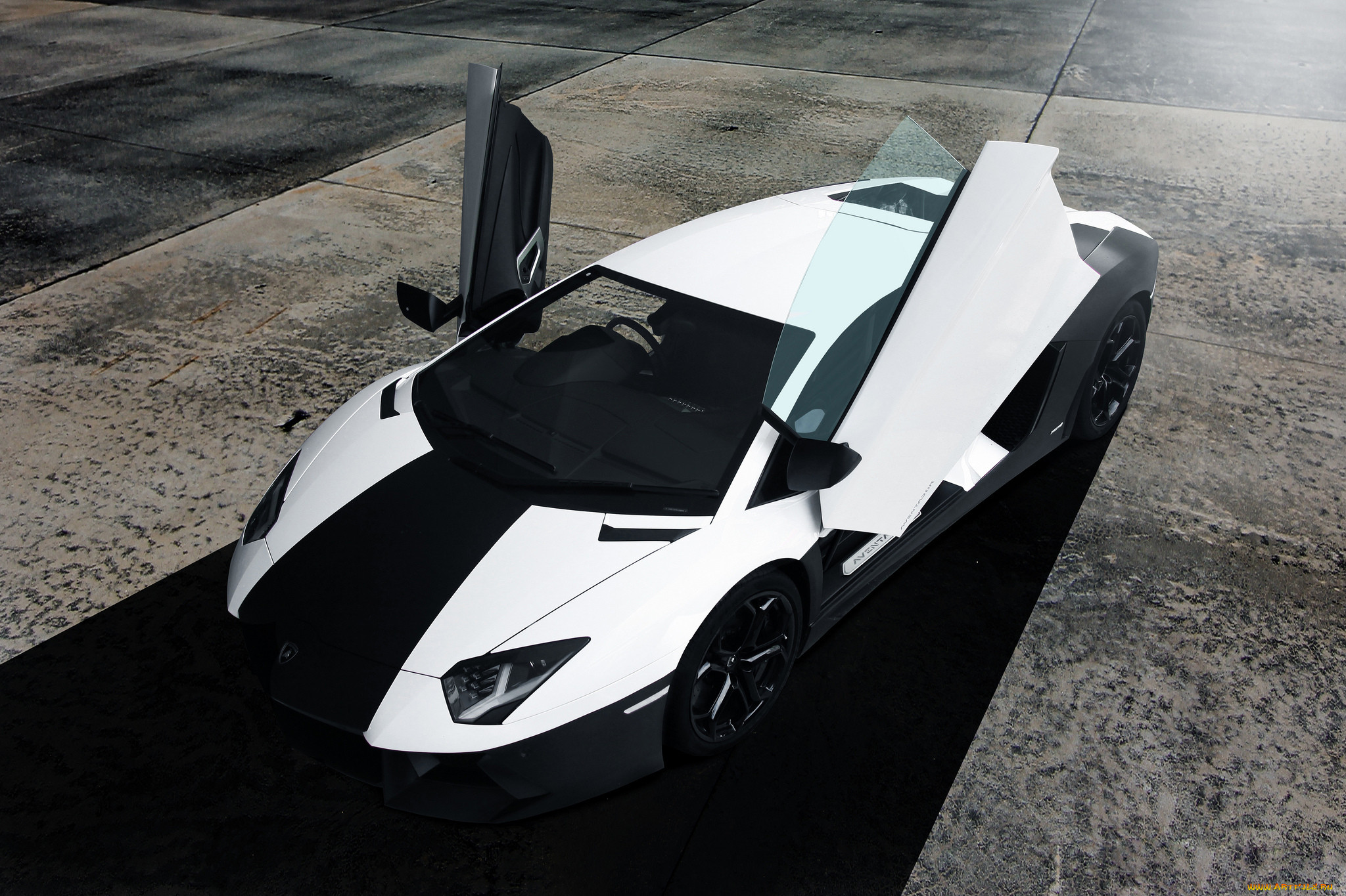 lamborghini aventador, , lamborghini, black, aventador, front, , , , white